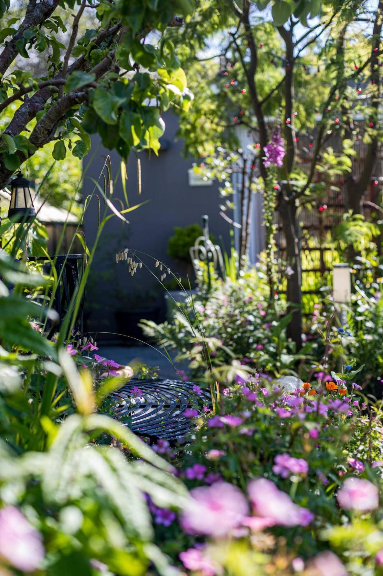 Hideaway For Two On Edge Of New Forest